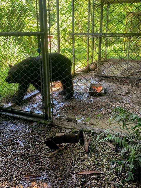 Zoologico - Mayaguez - presuntas condiciones en que se encuentran las facilidades - Foto suministrada 5 - junio 25 2020